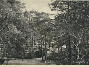 Appelscha - In de Duinen [001-3008