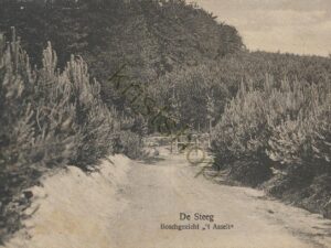De Steeg - Boschgezicht 't Asselt [001-3027