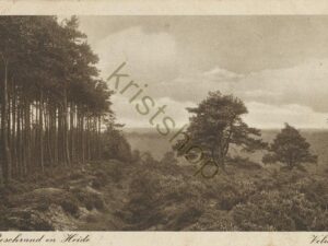 Veluwe - Boschrand en Heide [001-3030