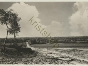 Lunteren - De Goudsberg [001-3037