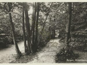 Bergen - Dromenlaantje [001-3042