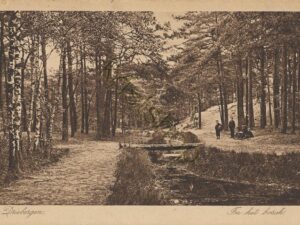 Driebergen - In Het Bosch [001-3059