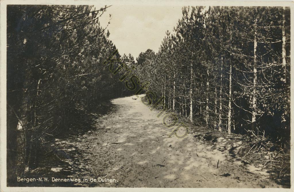 KRST001-3179_0.jpg Bergen - Dennenweg in de duinen [001-3179