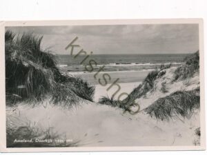 Ameland - doorkijk naar Zee [001-3206