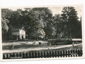 Assen - Hertenkamp [001-3216