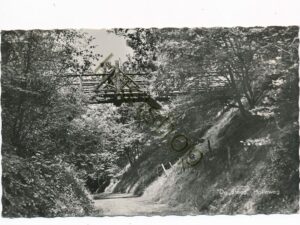 De Steeg - Holleweg [001-3218