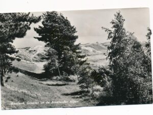 Ameland - Amelander Alpen [001-3246