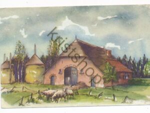 Gelderland - Veluwe - Boerderij Aquarel - JPhilp Knuseman [001-3250