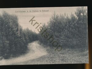Schoorl - Lovinkslaan in de duinen [001-3284