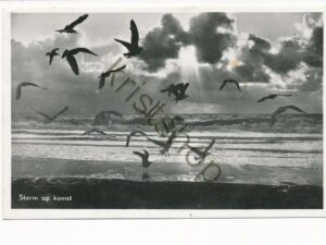 Zeegezicht - Storm op komst [001-3295