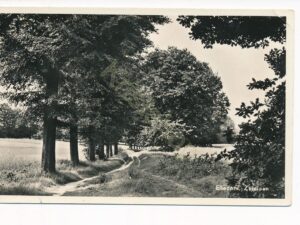 Ellecom - Zuidlaan [001-3329