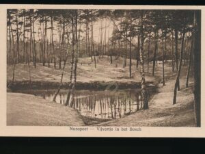 Nunspeet - Vijvertje in het Bosch [001-3333