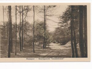 Nunspeet - Boschgezicht - Zandenbosch [001-3337