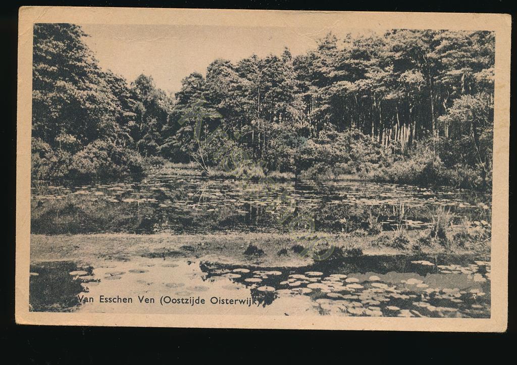 KRST001-3395_0.jpg Oisterwijk - Van Esschen Ven [001-3395