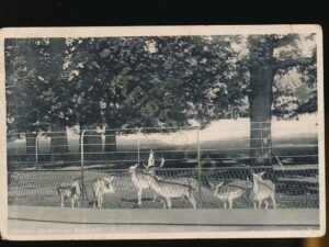 Arnhem - Sonsbeek - Hertekamp [001-3450