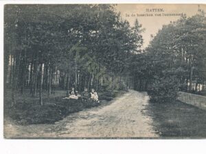 Hattem - In de bosschen van Dennenoord [001-3475