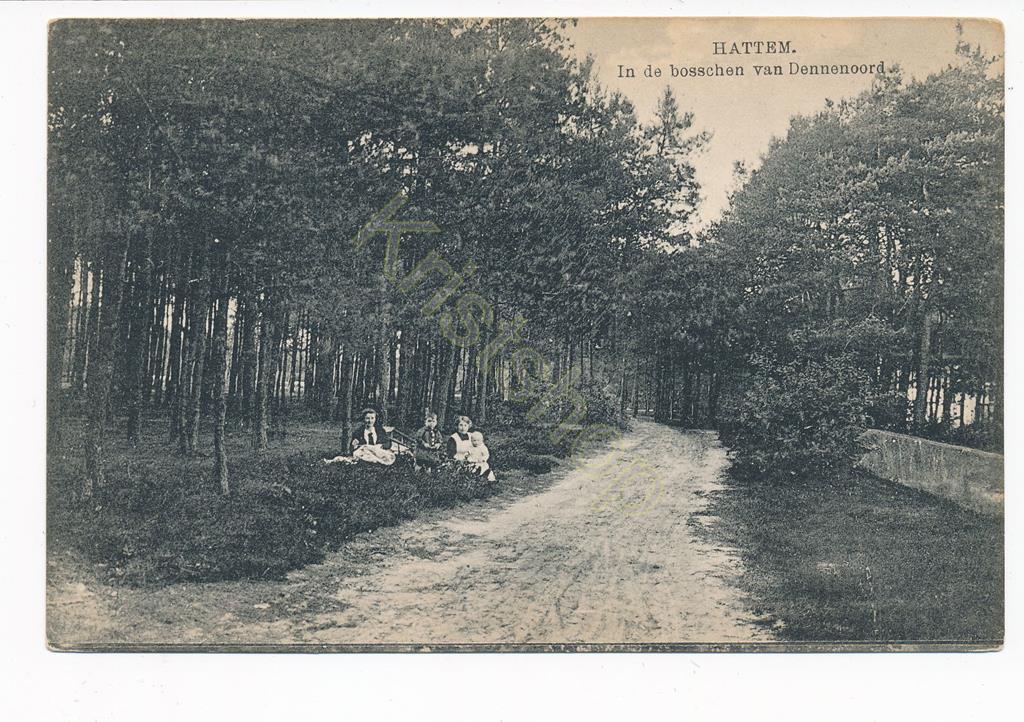 KRST001-3475_0.jpg Hattem - In de bosschen van Dennenoord [001-3475