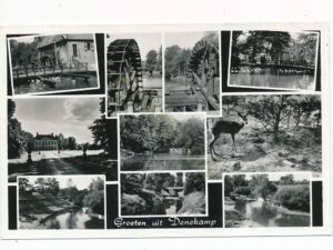 Denekamp [001-3496