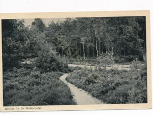 Holten - In de Holterberg [001-3502