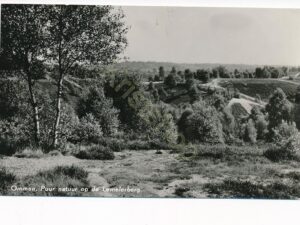Ommen - Op de Lemelerberg [001-3503