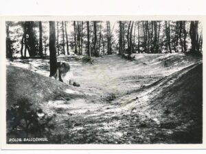 Rolde - Balloërkuil [001-3506