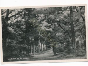 Hooghalen - In de Bossen [001-3508