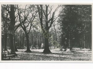 Assen - Stadsbosch [001-3509