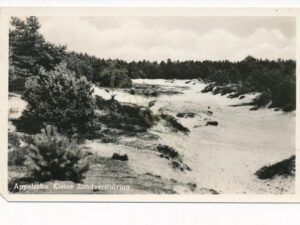 Appelscha - Kleine Zandverschuiving [001-3525