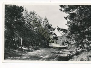 Appelscha - In de duinen [001-3583