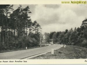 Assen - Entree door Amelther bos [001-3647