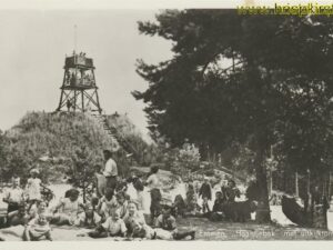 Emmen - Haantjebak met uitkijktoren [001-3658