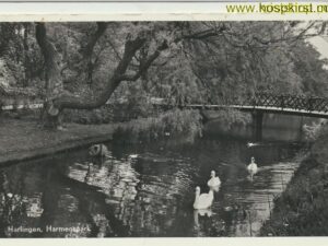 Harlingen - Harmenspark [001-3668