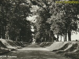 Borger - Koesteeg [001-3671