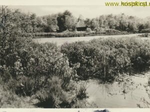 Bakkeveen - Volkshogeschool Allardsoog - Ven met Blokhut [001-3673
