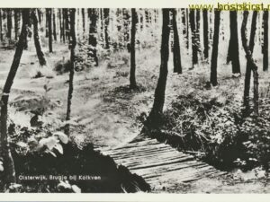 Oisterwijk - Brugje bij Kolkven [001-3685