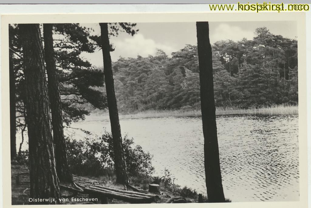 KRST001-3686_0.jpg Oisterwijk - Van Esscheven [001-3686