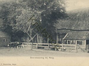 Norg - Boerenwoning [001-3797