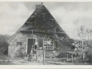 Veluwe - Hut op de Veluwe [001-3823