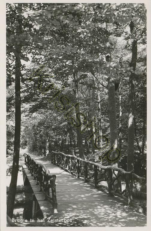 KRST001-3840_0.jpg Zeist - Brugje in het Zeisterbos [001-3840