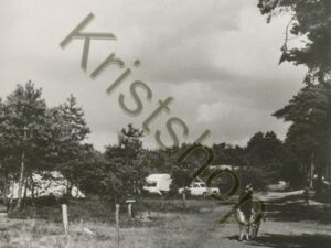 Harskamp - Kampeerterrein Harskamperdennen [001-3848