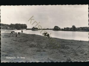 De Steeg - Ijsselgezicht [001-4098