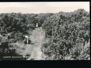 Ouddorp - Natuurreservaat aan de Punt [001-4155