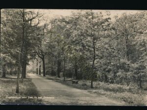 Oostvoorne aan Zee - In het Overbos [001-4168