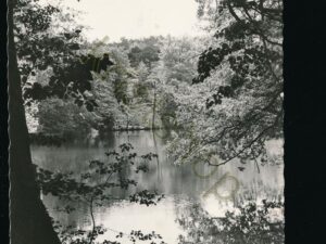 Velp - doorkijk op vijver Beekhuizen [001-4191