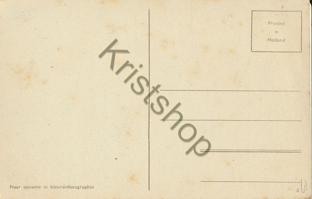 KRST001-4368_1.jpg Zeilsport - 16 kradraats in aktie [001-4368 - Afbeelding 2