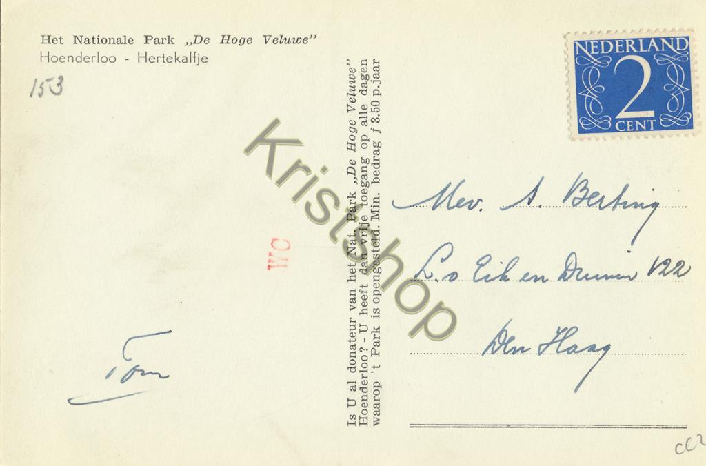 KRST001-4702_1.jpg Hoenderloo - Nat Park De Hoge Veluwe - Hertekalfje [001-4702 - Afbeelding 2