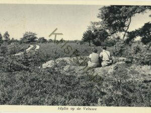 Idylle op de Veluwe [001-4723