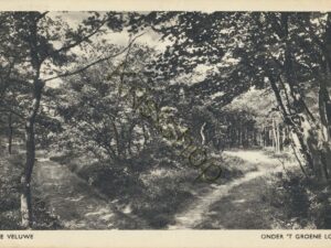 Veluwe - Onder 't Groene lover [001-4724