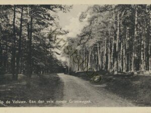Veluwe - Eén der grintwegen [001-4727