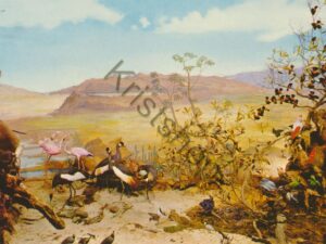 Holten - Tropisch Diorama [001-4755